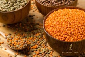 organic whole & split red lentils