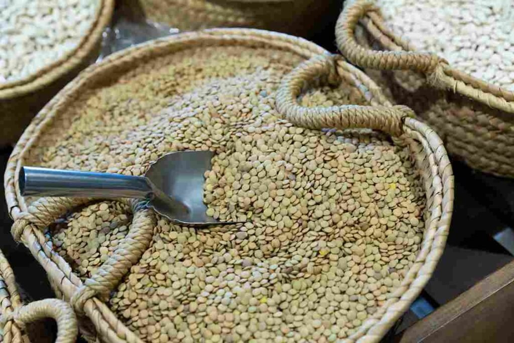 Green Lentils