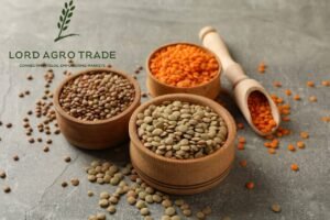Lentils as a Valuable Product