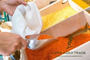 Suppliers in Canada