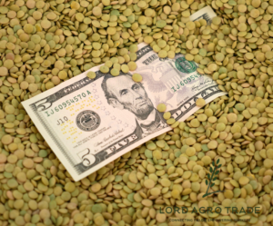 How to Check the Price of Legumes 