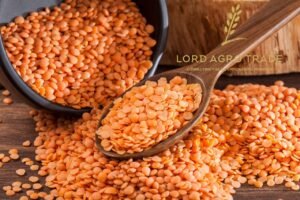 Red Lentils