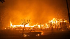 Fire in Los Angeles