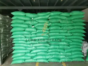 pulses from canada