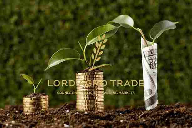 Monthly-Agriculture-Market-Report-–-February-March-2025 (1)