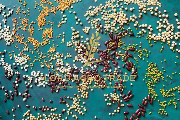 The-relationship-between-lentils-and-marine-ecosystems