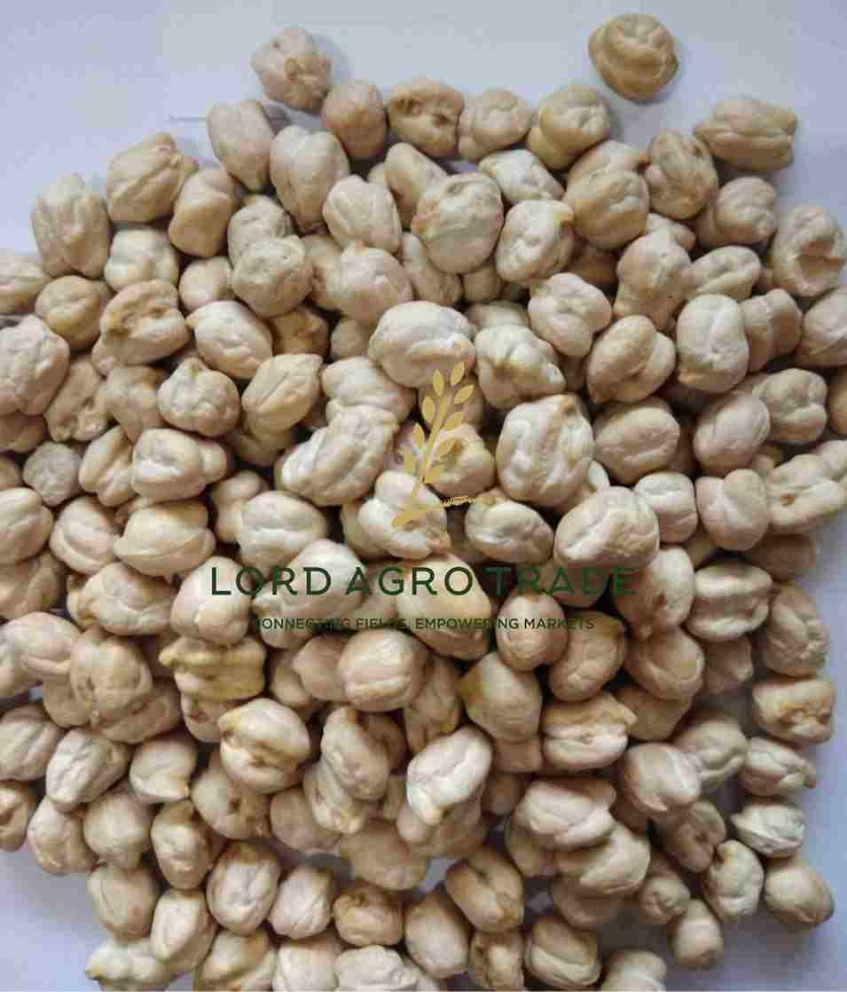 Understanding kabuli chana