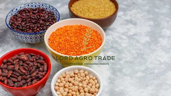 Lentils