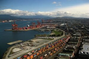 Lentil Export to Europe