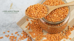 lentils supplier