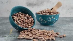 Dry Beans