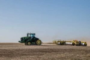 exporter of lentils