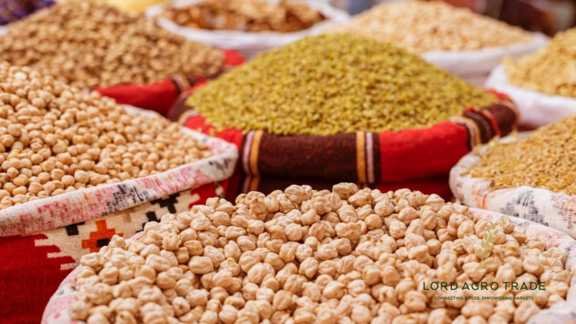 pulses canada
