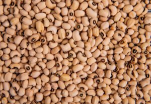 Dry Beans