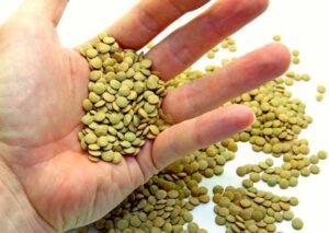 Canadian Chickpea and Lentil Suppliers
