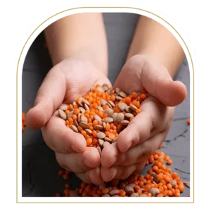 lordagrotrade.com