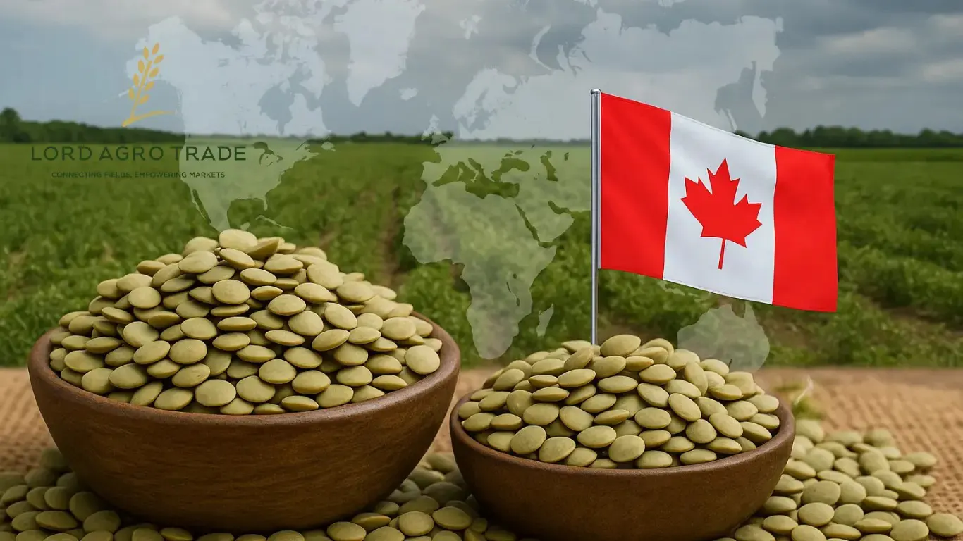 FOB price lentils Canada