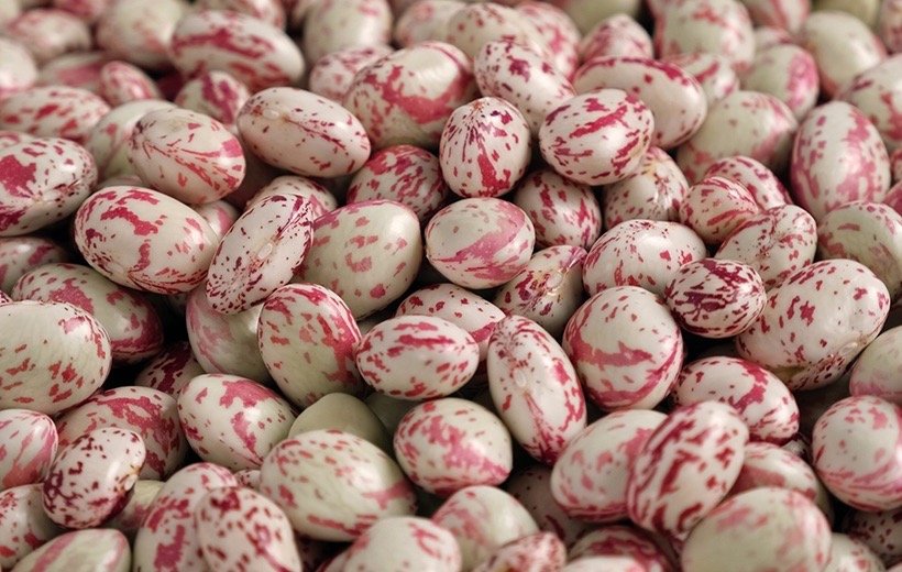 Cranberry Beans
