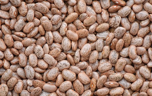 Pinto Beans
