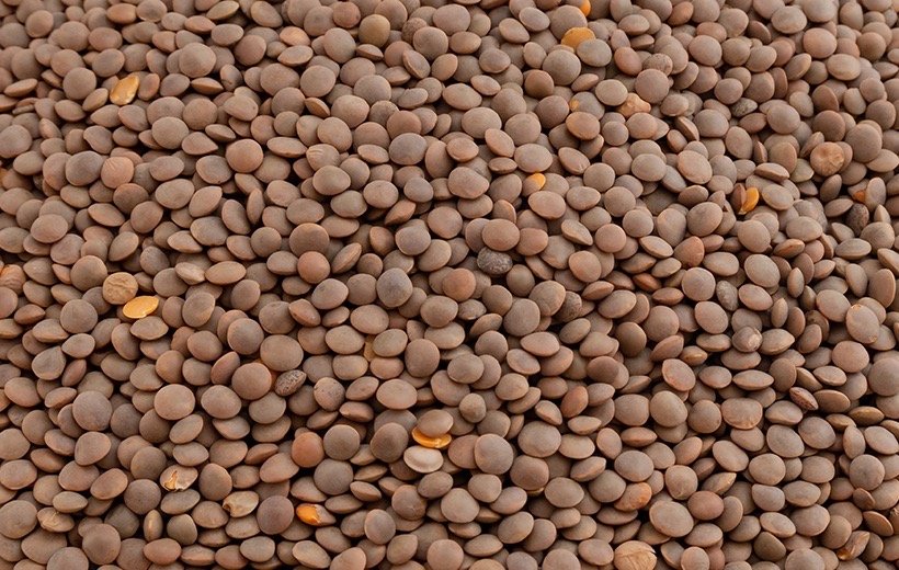 Red Lentile with Husk