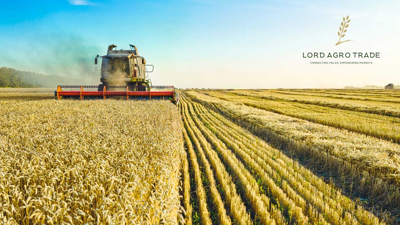 Canadian Pulse Market Overview/January Update