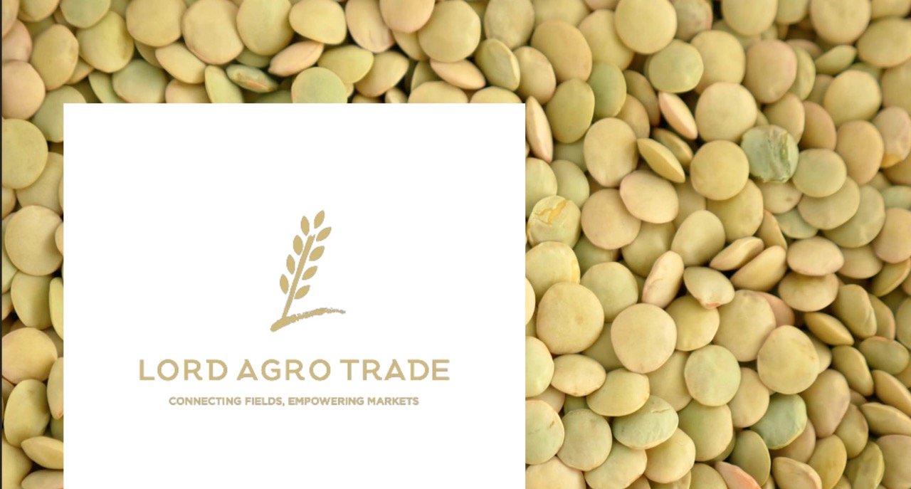 Canadian Pulses Market Report – April 2026