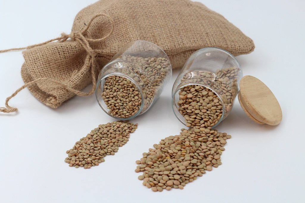 Canada Pulses Market Report – May 2026