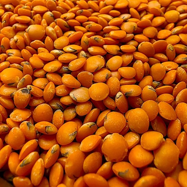 Football Red Lentils