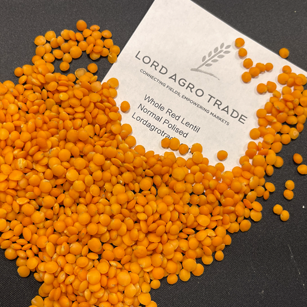 Whole Red Lentils